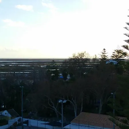 Tii Alameda *